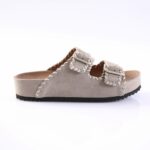 VERBENAS ELENA 2